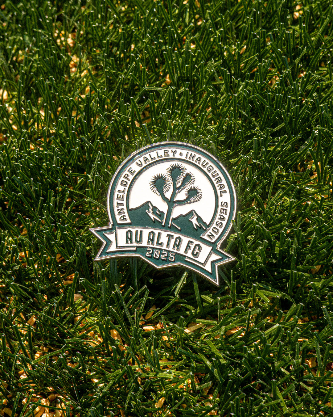 Inaugural Patch Enamel Pin