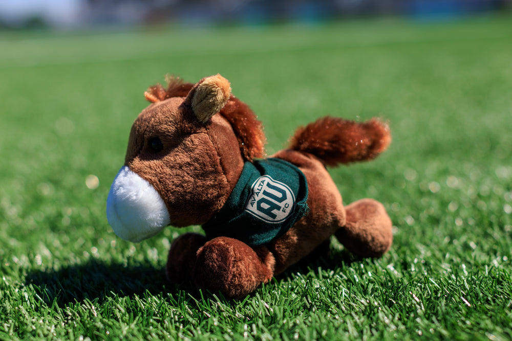 AV ALTA FC Small Horse