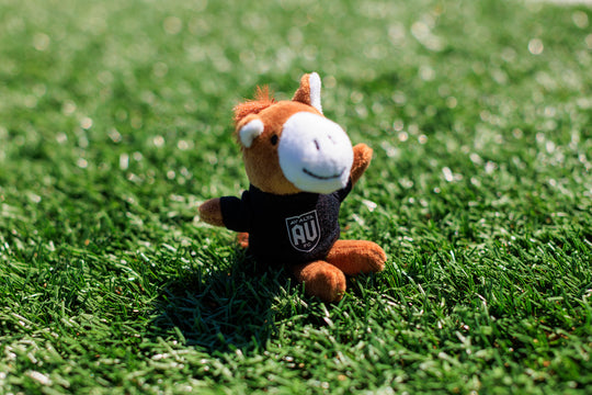 Mini Horse Magnet