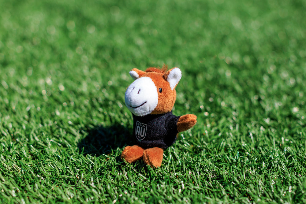 Mini Horse Magnet