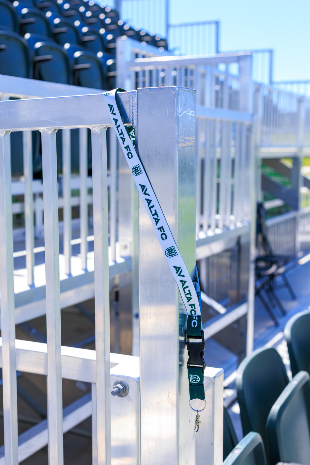 Lanyard